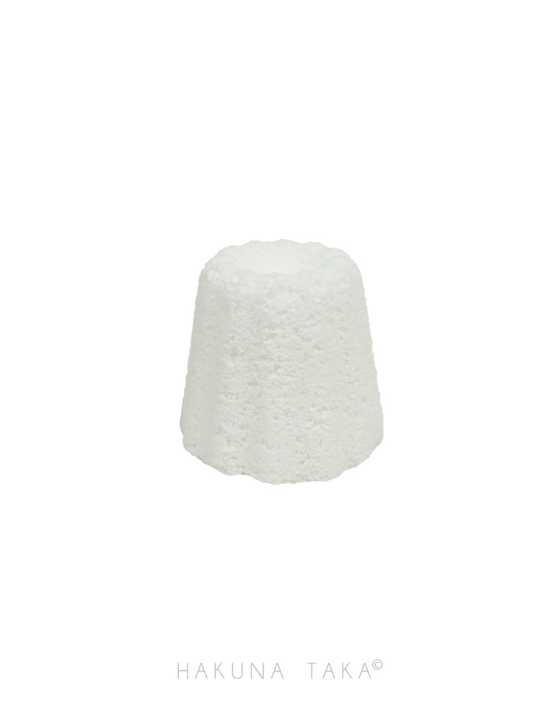 Pastille WC - Lot de 4