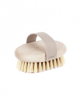 Brosse pour brossage à sec