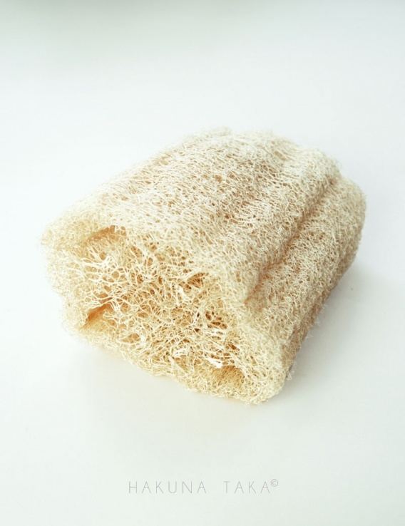 Luffa éponge