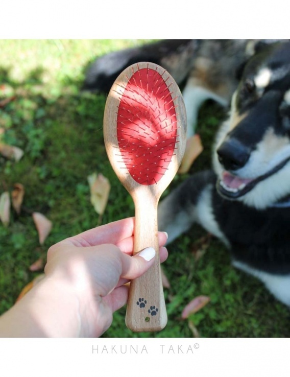 Brosse pour chiens