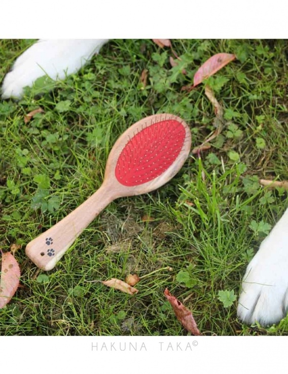 Brosse pour animaux