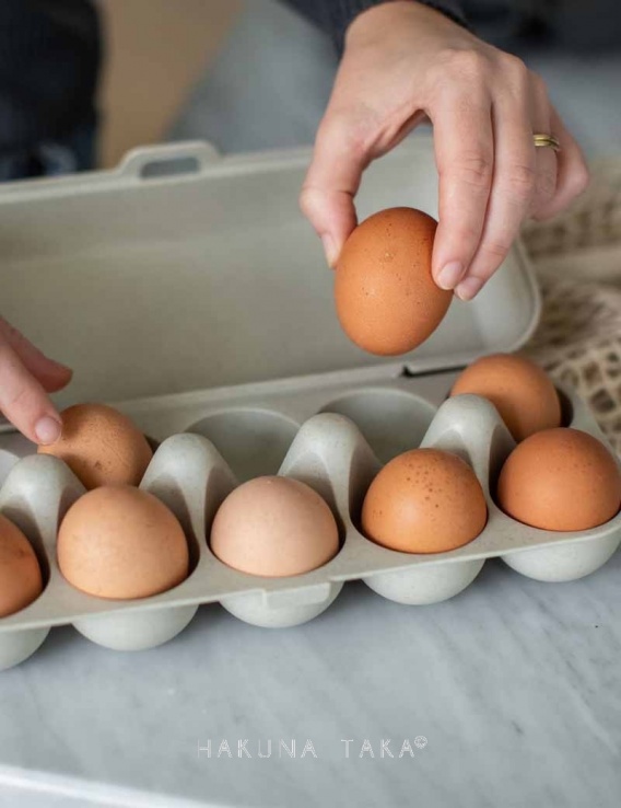 Boite à oeufs réutilisable