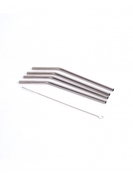 Pailles inox courtes x4 + Goupillon