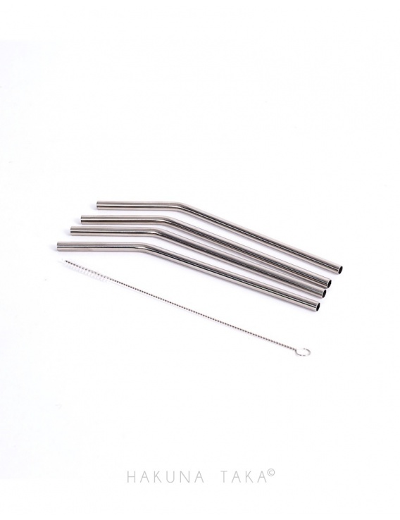 Pailles inox courtes x4 + Goupillon