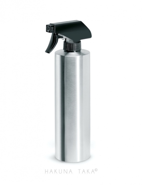 Spray inox